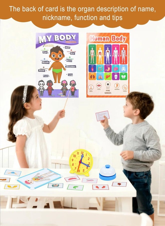 مجموعة ألعاب مدرسية للأطفال من Learn2M، تتضمن مجموعة لعب دور المعلم مع سبورة بيضاء، وحقيبة للمعلم، وألغاز مغناطيسية، وساعة تعليمية، وملصقات تعليمية، ولوازم ألعاب تعليمية. - Image 3